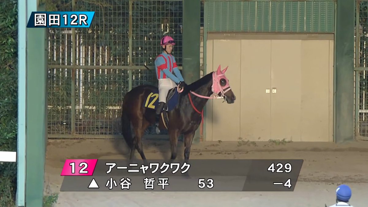 かにゃ 🌸脳がふにゃふにゃ❄ on X