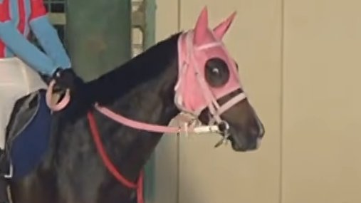 かにゃ 🌸脳がふにゃふにゃ❄ on X