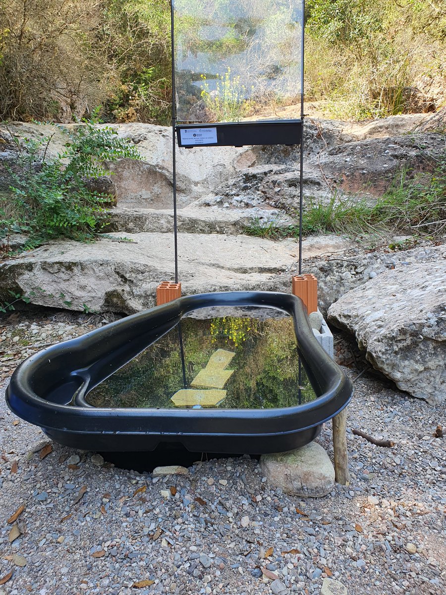 #NotíciaIRBio
Els refugis aquàtics temporals: claus per a la dispersió i la resiliència de la biodiversitat fluvial
Investigadors de l’IRBio i el FEHMUB demostren el paper fonamental de les basses desconectades en rius temporals mediterranis
shorturl.at/WBoyt
<a href="/NuriaBonada/">Núria Bonada</a>