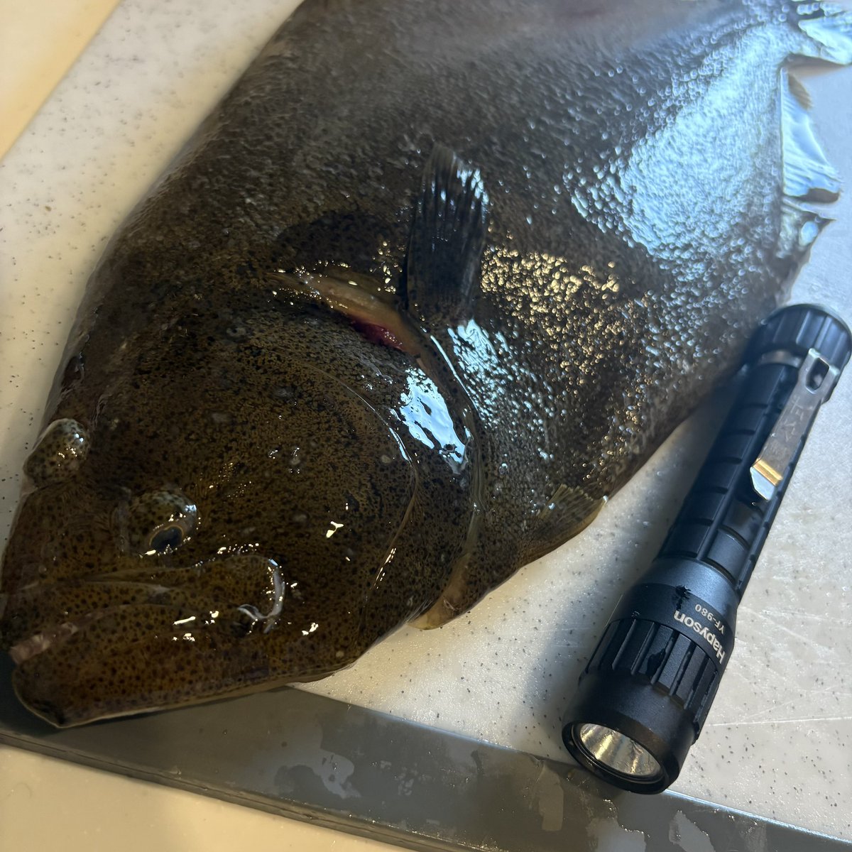 みなせちわ tweet media