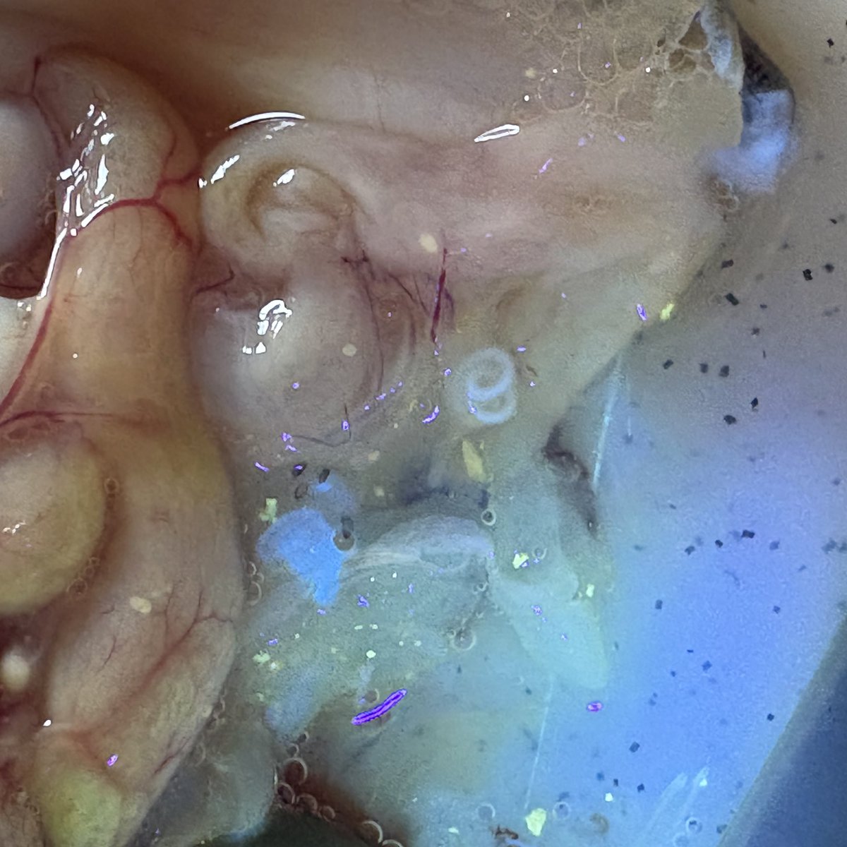 みなせちわ tweet media