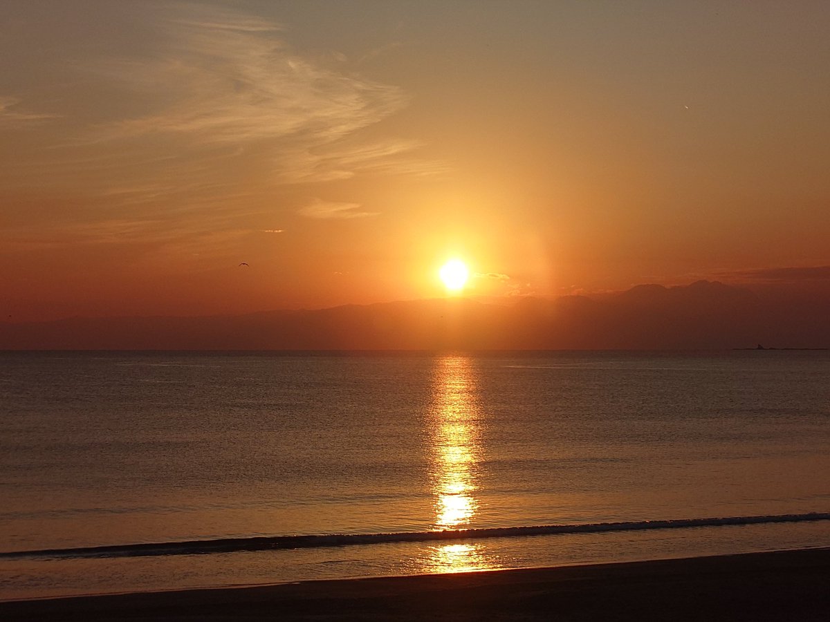 咲咲空青（そらあお） on X