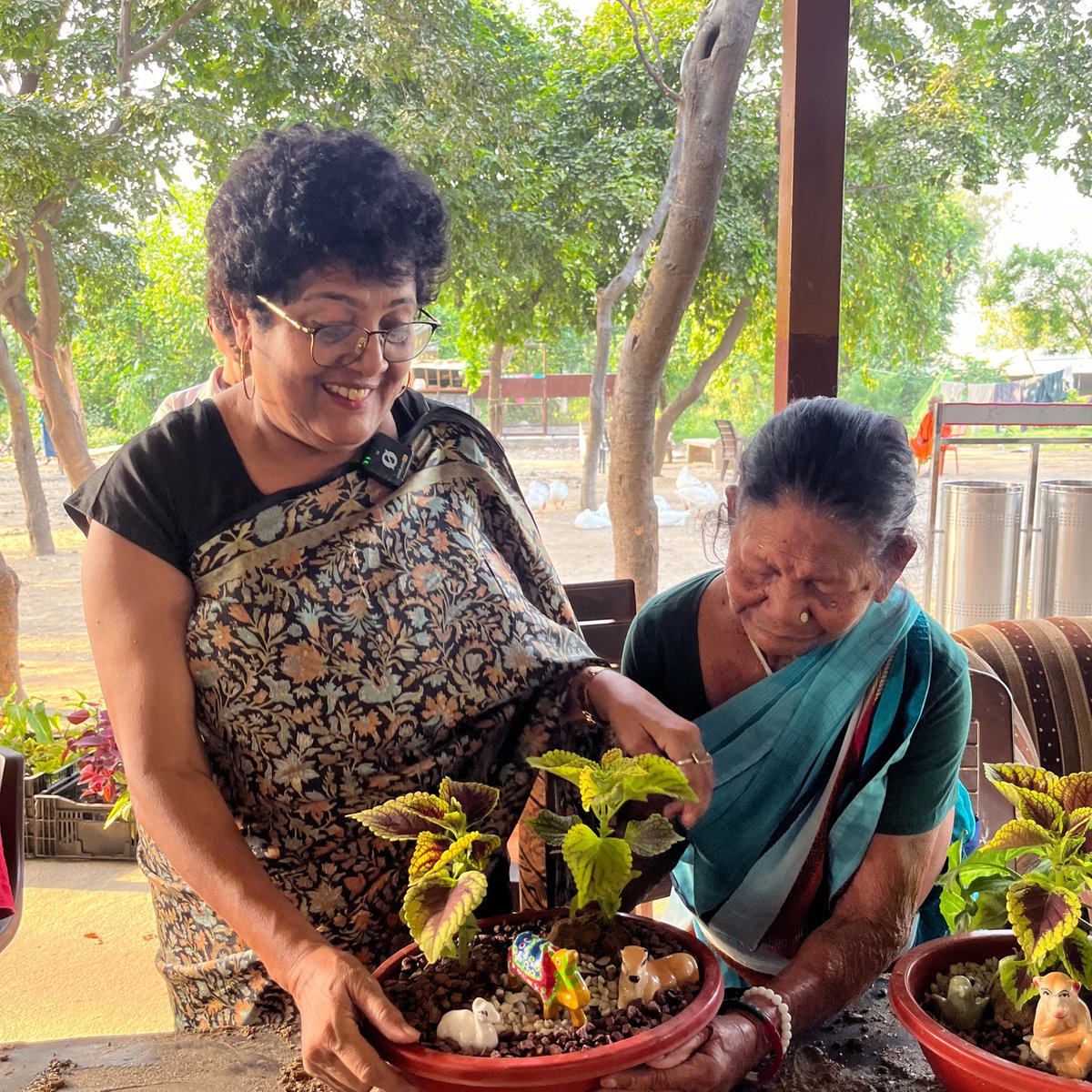 Spreading smiles through creativity 🌿 Neelam Ma’am and elders bond over topiary making at Mata Ram Beti Old Age Home 💚 #SunriseFoundation #ElderCare #JoyOfGiving #NGOIndia