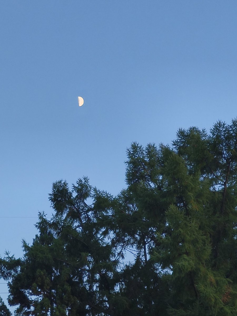 さくら🌸Kirschblüte☆ on X