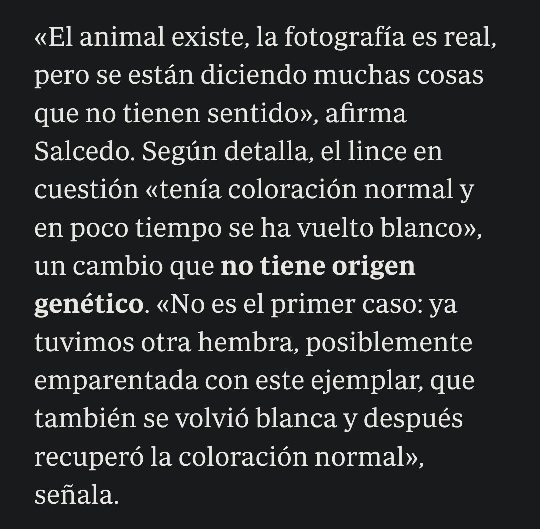 jonhye7's tweet image. Hay gente buscando señales en el lince blanco y resulta que ni es leucismo ni algo genético, que simplemente el bicho está estresao