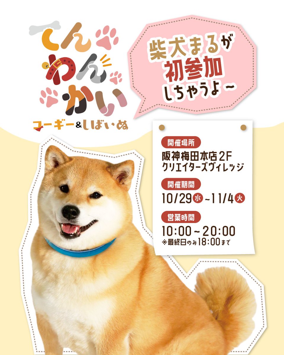GALLERY_MARUSAN's tweet photo. 阪神梅田本店にて開催中の
てんわんかい｢～コーギー&amp;柴犬～｣は
本日2日目❣️

会場の様子をちらっと
お見せしちゃいます😆✨️

#柴犬まる
#てんわんかいin阪神梅田本店
#詰め合わせ福袋は人気のため残りわずか❣️
#気になる方はお早めに✨️ https://t.co/onY2CqBsHt