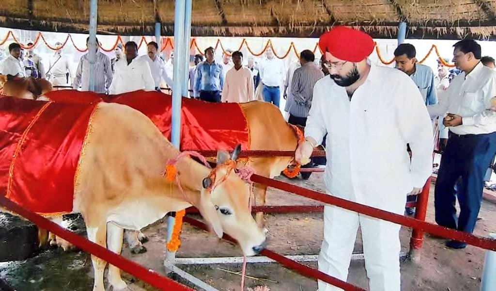 आप सभी को गोपाष्टमी की हार्दिक शुभकामनाएं।

यह पावन पर्व गौमाता की सेवा, संरक्षण और श्रद्धा का प्रतीक है।

गौमाता के आशीर्वाद से आप सभी के जीवन में सुख, समृद्धि और शांति बनी रहे।

<a href="/AmarpreetKale/">Amarpreet Singh 'Kale'</a> #गोपाष्टमी #Gopashtami #गौसेवा #Jamshedpur #Jharkhand