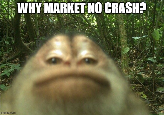 Ra 🇧🇪 BUYING SKINS 24/7 tweet media