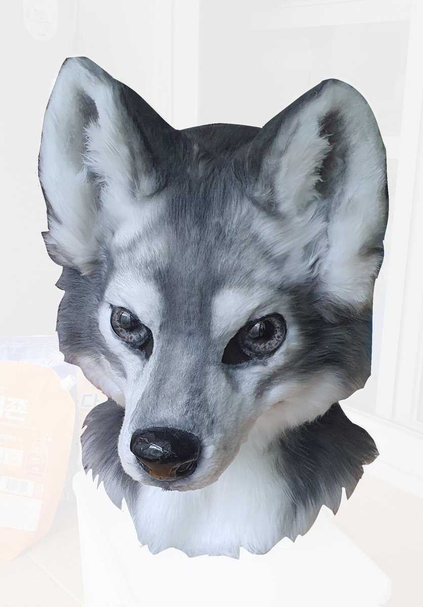 조아라 : 스토리 본능을 깨우다, image size:836x1200