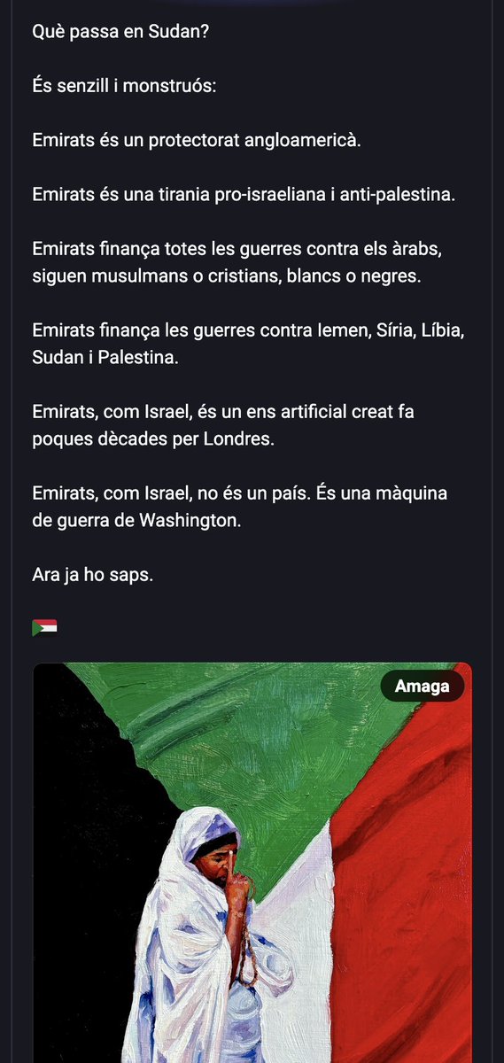 Què passa en Sudan?

Emirats, Estats Units, Gran Bretanya i Israel en Àfrica.

Un nou genocidi colonial.

Això passa.