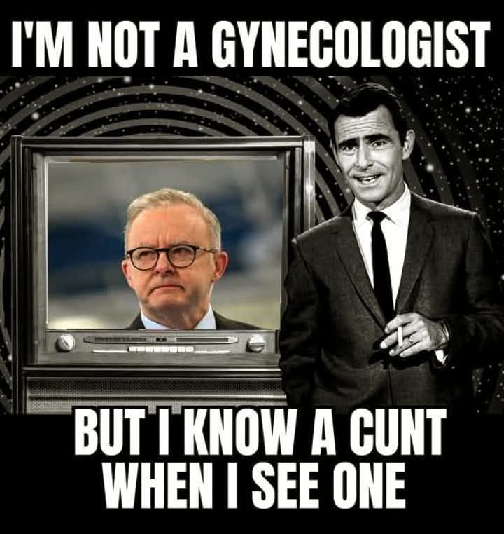 <a href="/AlboIsPM/">ⁿᵉʷˢ Anthony Albanese ➐</a>