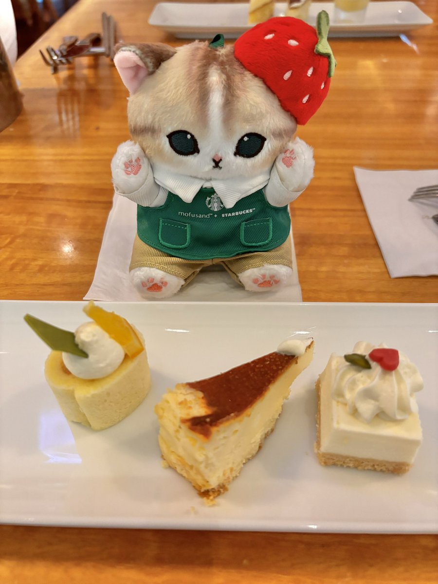 うさにゃん (@usa_nyan32) / Posts / X