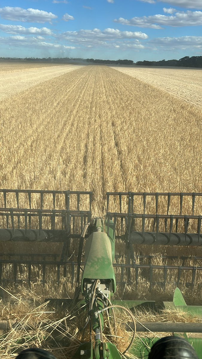 Sam Guest tweet media