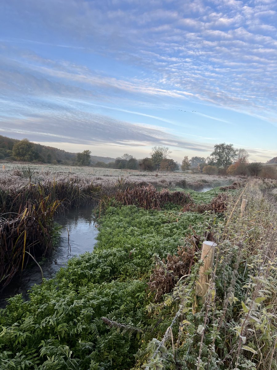 Chess valley between Chenies and Latimer frosty and misty. This will be part of the ⁦<a href="/RiverChess/">R. Chess Association</a>⁩ monthly walk Sunday 2nd November 2025. Meeting at ⁦<a href="/CheniesManor/">Chenies Manor House</a>⁩ car park 10am. No booking required. ⁦<a href="/ChilternsNL/">Chilterns National Landscape</a>⁩ ⁦<a href="/ChilternSociety/">Chiltern Society</a>⁩