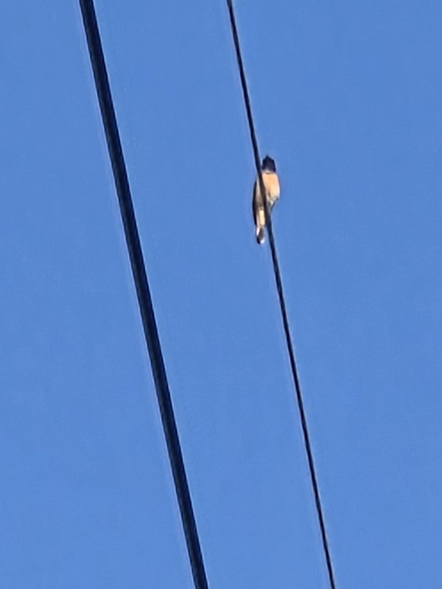 Posts with replies by みぃ64 (@PaDqlqHPDpnkzFF) / X