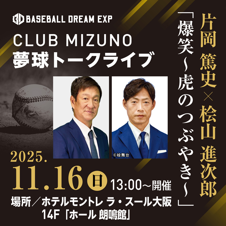 希少　元阪神タイガース　桧山進次郎選手　支給品　ミズノプロ　硬式　グローブ 希少 元阪神タイガース 桧山進次郎選手 支給品 ミズノプロ 硬式