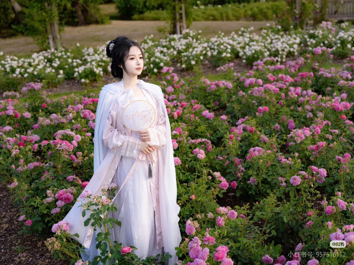 AmazingHanfu's tweet image. A girl in light pink #Song Dynasty style open-front outerwear, white waist-high #skirt &amp;amp; sheer Hanfu cloak stands among #blossoms, adding Eastern charm to the English #garden. #Hanfu #Song Dynasty styleHanfu#londonflowerseas #chineseculture（via：Wanwan）