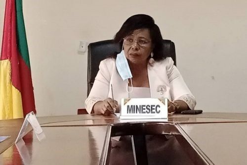 Education Minister Lyonga Denies National School Suspension Post-Election stopblablacam.com/politics/3010-…