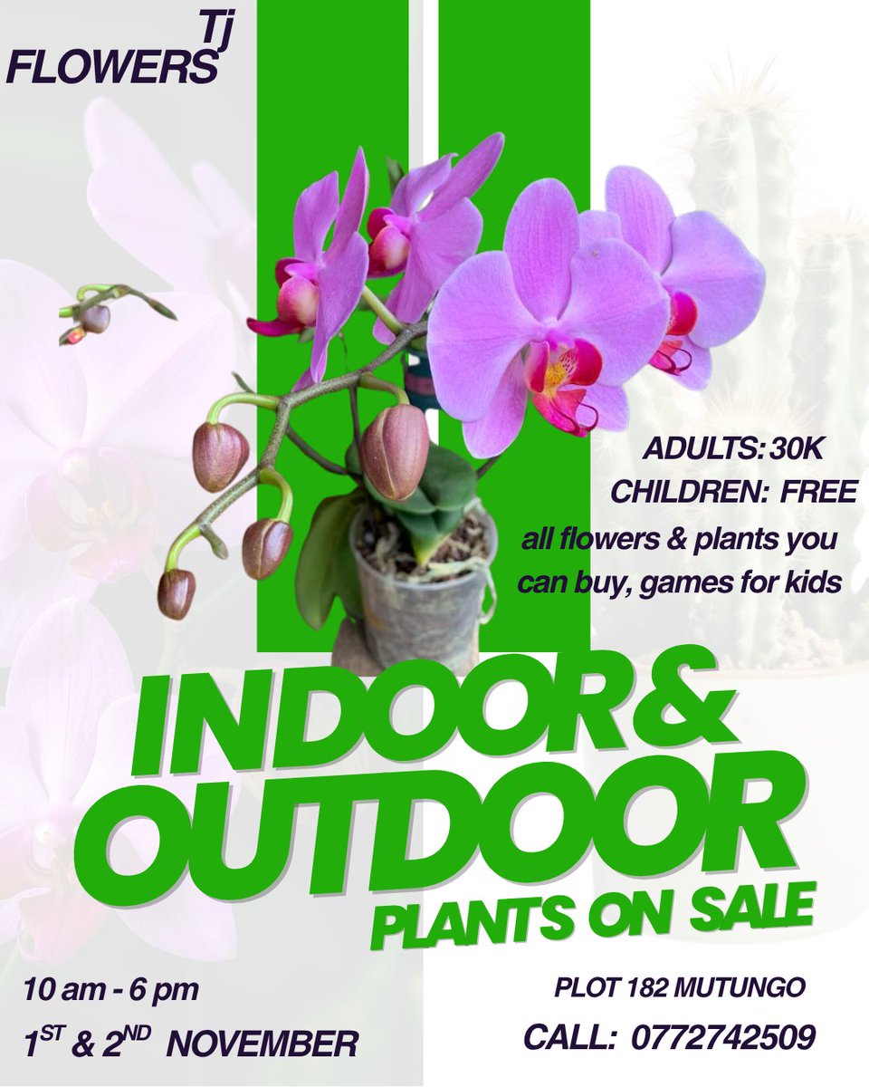 GoldmanUganda's tweet image. the OPEN WEEKEND is here, 
1ST &amp;amp; 2ND NOVEMBER 2025

Don't be left out, come for an epic plant and flower mega sale, in Mutungo plot 182. organized by TJ FLOWERS.  CALL: 0772742509. for more details.