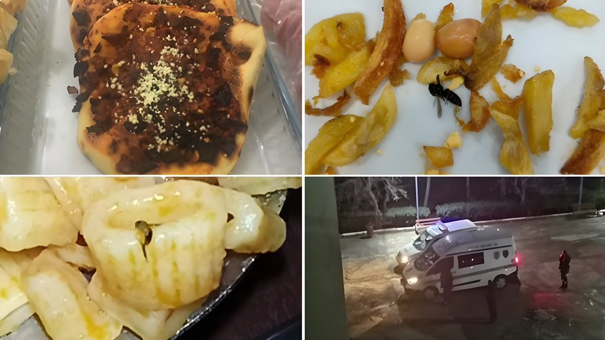 CHP'li Hikmet Yalım Halıcı:

"Son 2 yılda KYK yemekhanelerinde tırtıl, saç, kurt, böcek, porselen parçası, iğne ve küf tespitleri yapıldı. 

400’ü aşkın öğrenci gıda zehirlenmesi şikâyetiyle hastanelere başvurdu."