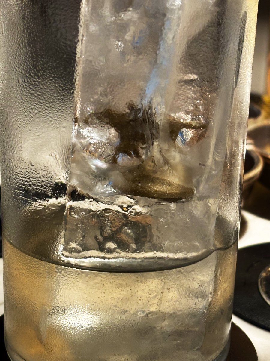 Y más….
Y quien no prueba el cocktail homenaje a Jockey con su jinete y el caballo dentro del hielo.
Saddle es hoy la constante búsqueda obsesiva de la perfección y de dar a sus clientes exactamente lo que buscan.