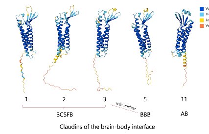 Prentoe_Lab tweet media
