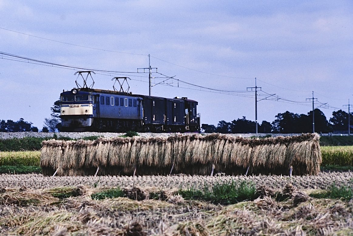 とーちゃん on X