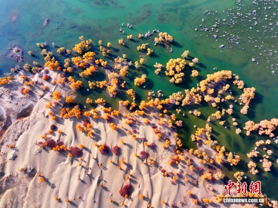 人民網日本 on X