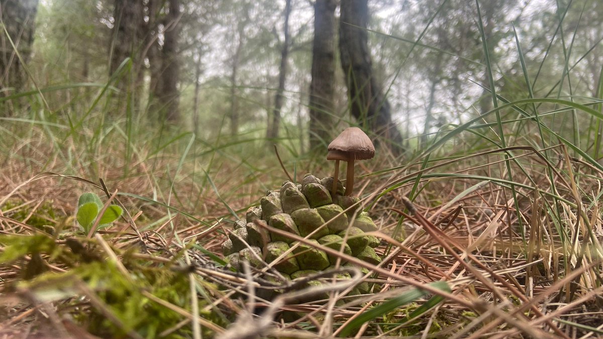 #Nieblas #matinales desde #Palencia <a href="/tiempobrasero/">Tutiempo</a> <a href="/ElTiempoA3/">El Tiempo de Antena 3</a> <a href="/Tiempo_Mercedes/">Mercedes Martín</a> <a href="/ElTiempo_tve/">El Tiempo en TVE</a> <a href="/TiempoCyLTV/">El Tiempo en CyL</a> <a href="/SergioMeteo/">Sergio Hernández</a> <a href="/MeteoredES/">Meteored España</a> <a href="/sibilafc/">Silvia Ferrer</a> <a href="/meteosegovia/">Adrián Escobar</a> <a href="/lasextameteo/">La Sexta Meteo</a> <a href="/fcocachometeo/">Francisco Cacho</a> <a href="/JoannaIvars/">JoannaIvars</a> <a href="/aquilatierratve/">Aquí la Tierra</a> <a href="/beapalencia13/">bea palencia</a> <a href="/palentino/">palentino 🌾🌈❣️</a> <a href="/Marijosesanz73/">M.J.</a> <a href="/TurismoPalencia/">Turismo Palencia CyL</a>