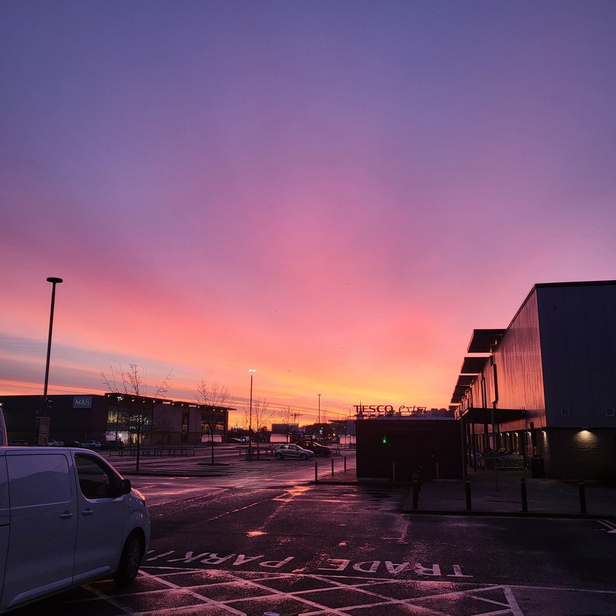 Major🎆Mustard tweet media