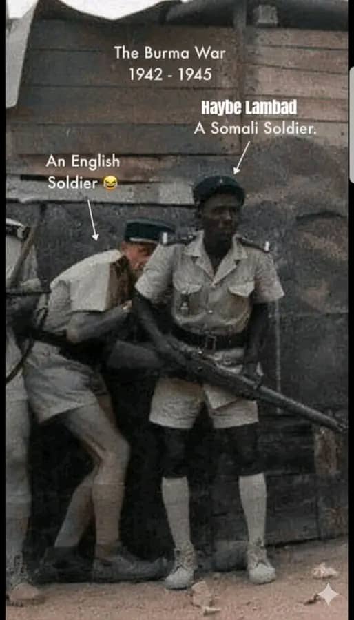 Burma War 1942-1945.
Haybe Lambad, a Somaliland soldier who fought in Burma once sheltered an English soldier who was hiding behind him.