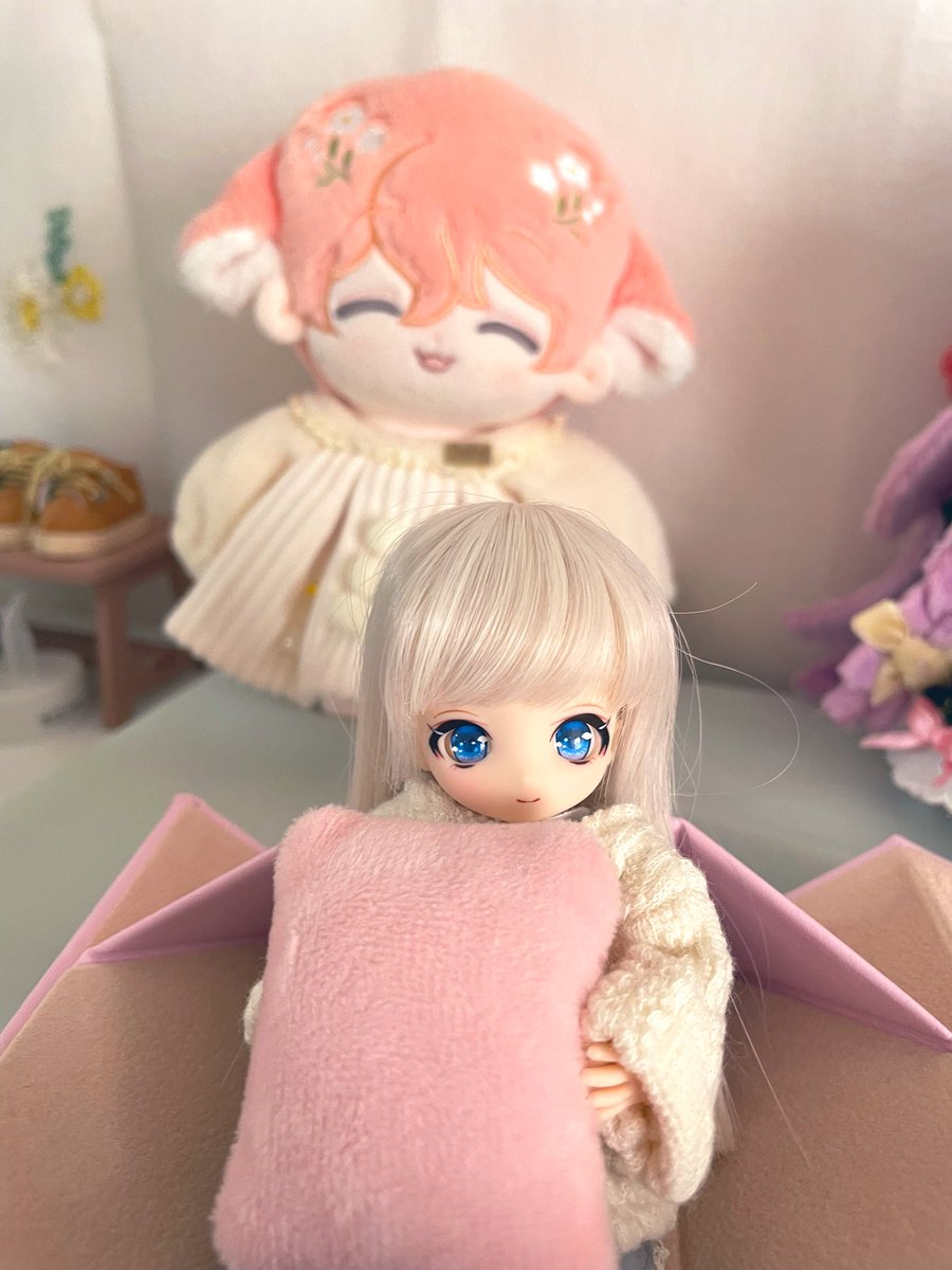 komugiko268's tweet photo. かわいいが溢れてる🥰

#あまむす https://t.co/gjlpic5mK7