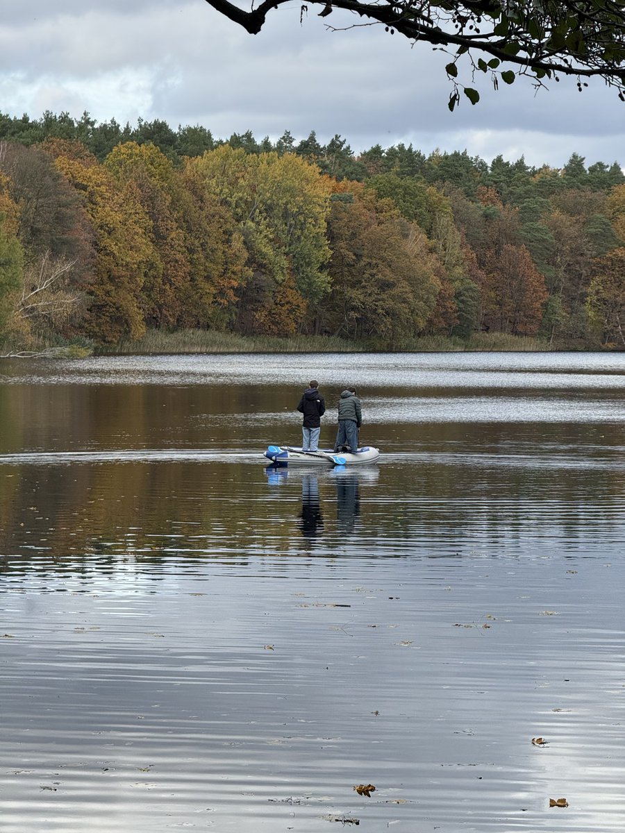 ‘Sonbahar bir sanattır, diğerleri mevsim’.

Cemal Süreyya