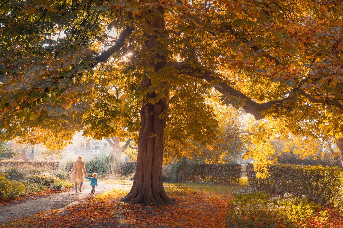 Het Plantsoen in #Leiden op een mooie herfstochtend on oktober 2018

(c)2018-today Martijn van der Nat