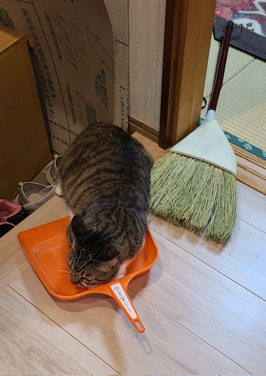 しゅーまい@テムジン (@noahghc01) / Posts / X