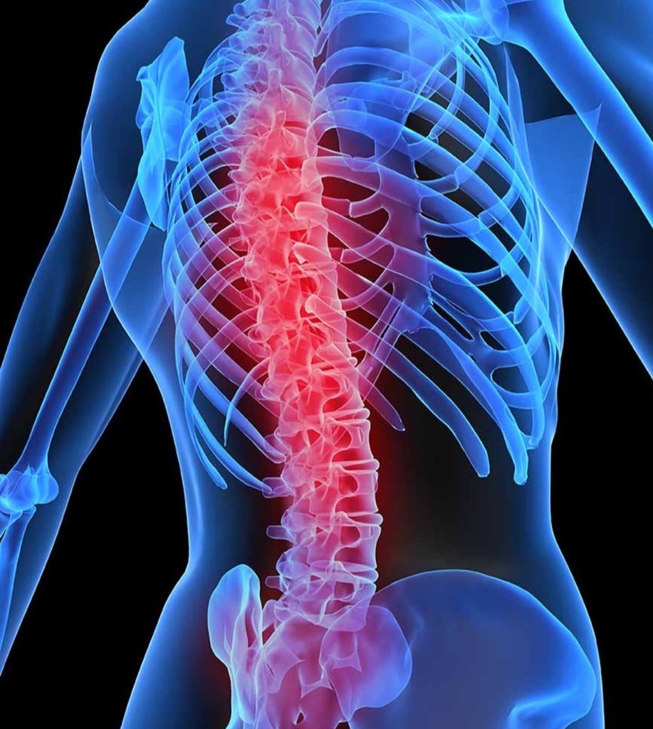 Yanlış yerden zayıflamışsın ata abi burdan vermicektin