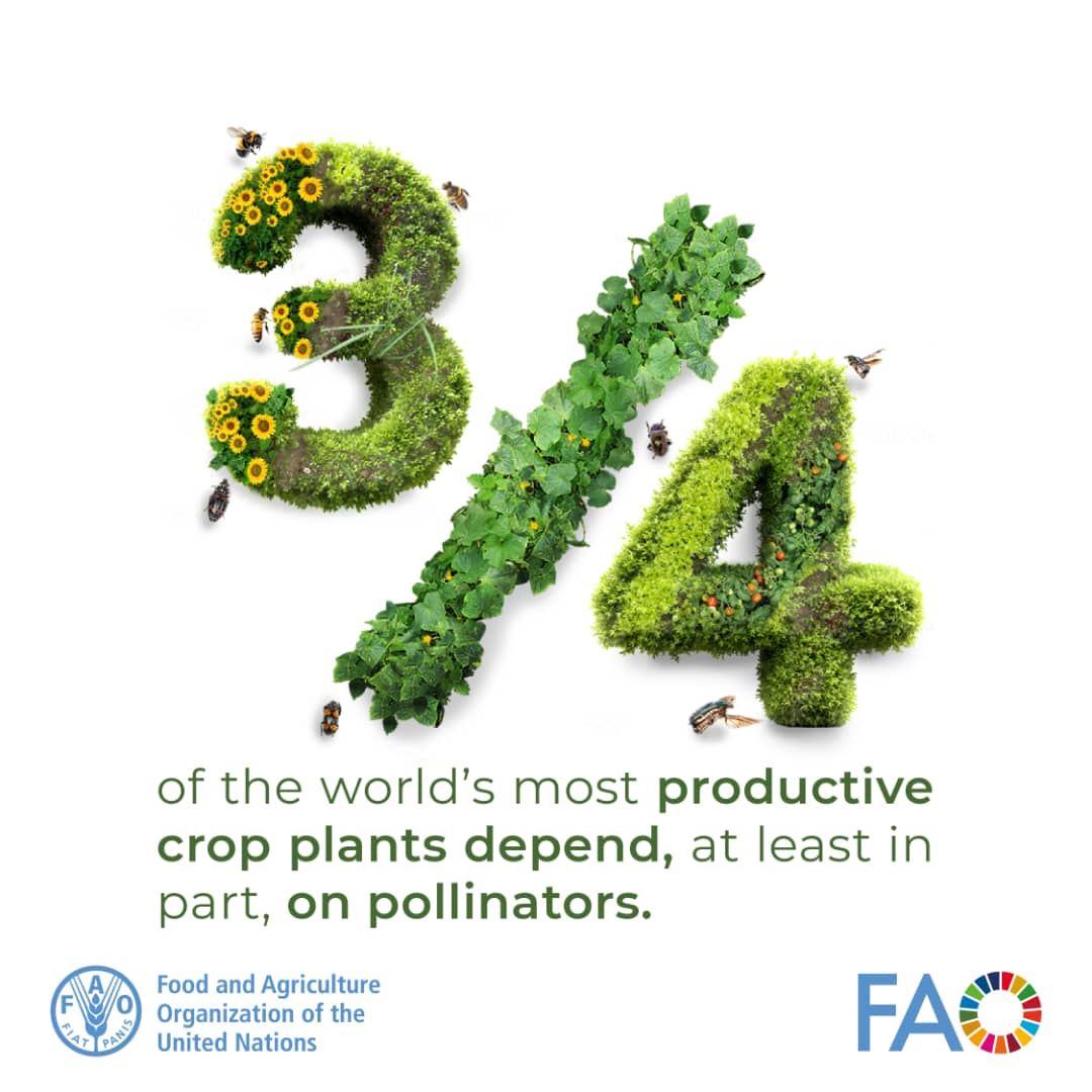 Continue unpacking: what kills the pollinators that facilitate productivity?

<a href="/ConsentUganda/">CONSENT🇺🇬</a> 
<a href="/foscu23/">FoSCU</a>