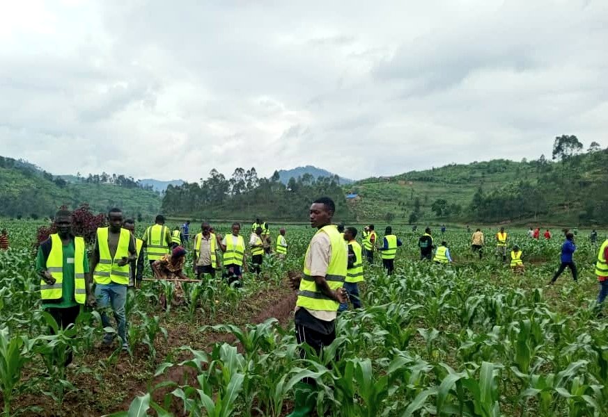 Muri aka kanya Urubyiruko rw'abakorerabushake <a href="/RYVCPGakenke/">RYVCP GAKENKE</a> kubufatanye na <a href="/Rwandapolice/">Rwanda National Police</a> ɓarimo gukora umuganda wo gutera ibiti bivangwa n'imyaka.
Ni ibikorwa birimo gukorwa mu mirenge yose igize <a href="/GakenkeDistrict/">Gakenke District</a> hanasozwa ukwezi kwahariwe ibikorwa by'ubukorerabushake.