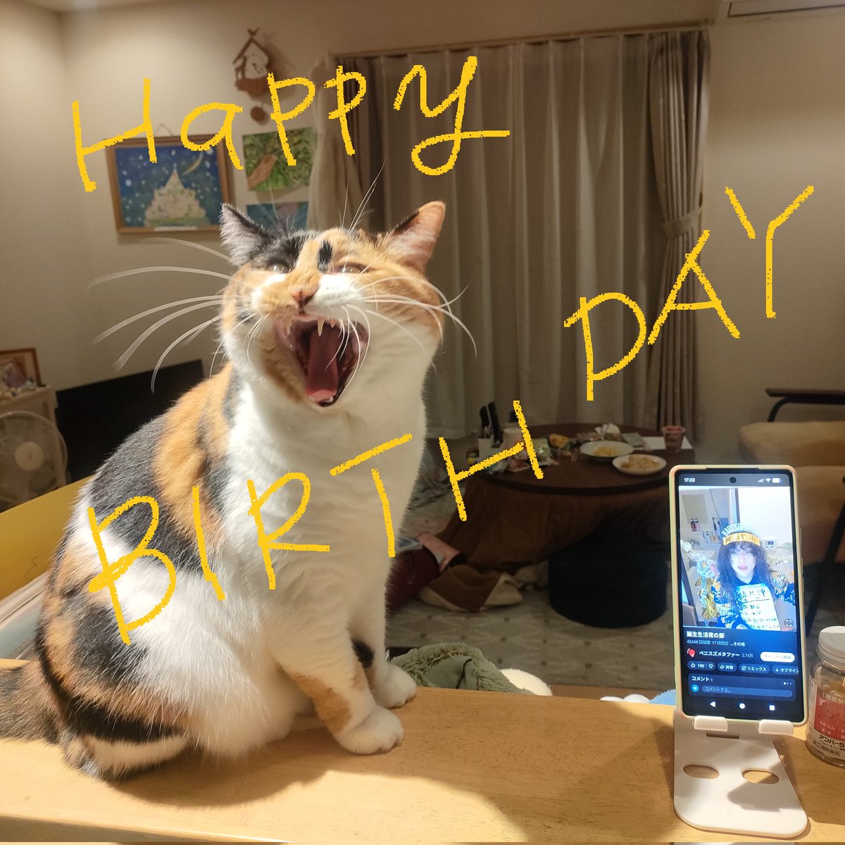 maco0922's tweet photo. @Benisuzumetafa https://t.co/Dpjdt3n4HN
