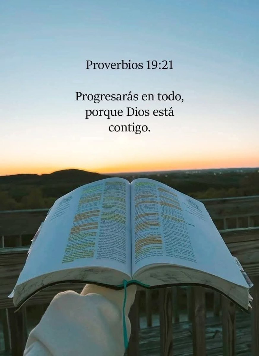 Docma29's tweet image. 