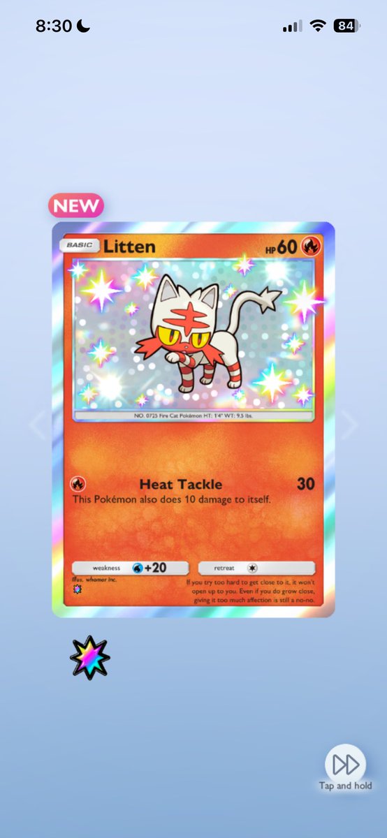 Shiny Litten!