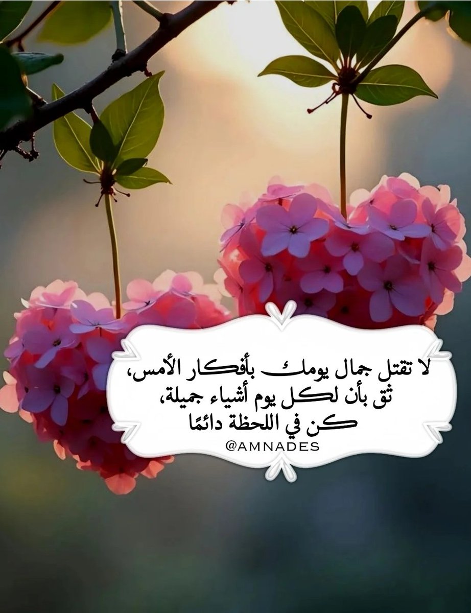 🌤🌸🌤
#صباحيات

لا تُــفـكـر لـهَـا مُـدبِـر ...🕊🤍

 #الخميس_الونيس
#صباح_الخير_والسعاده 
🏡