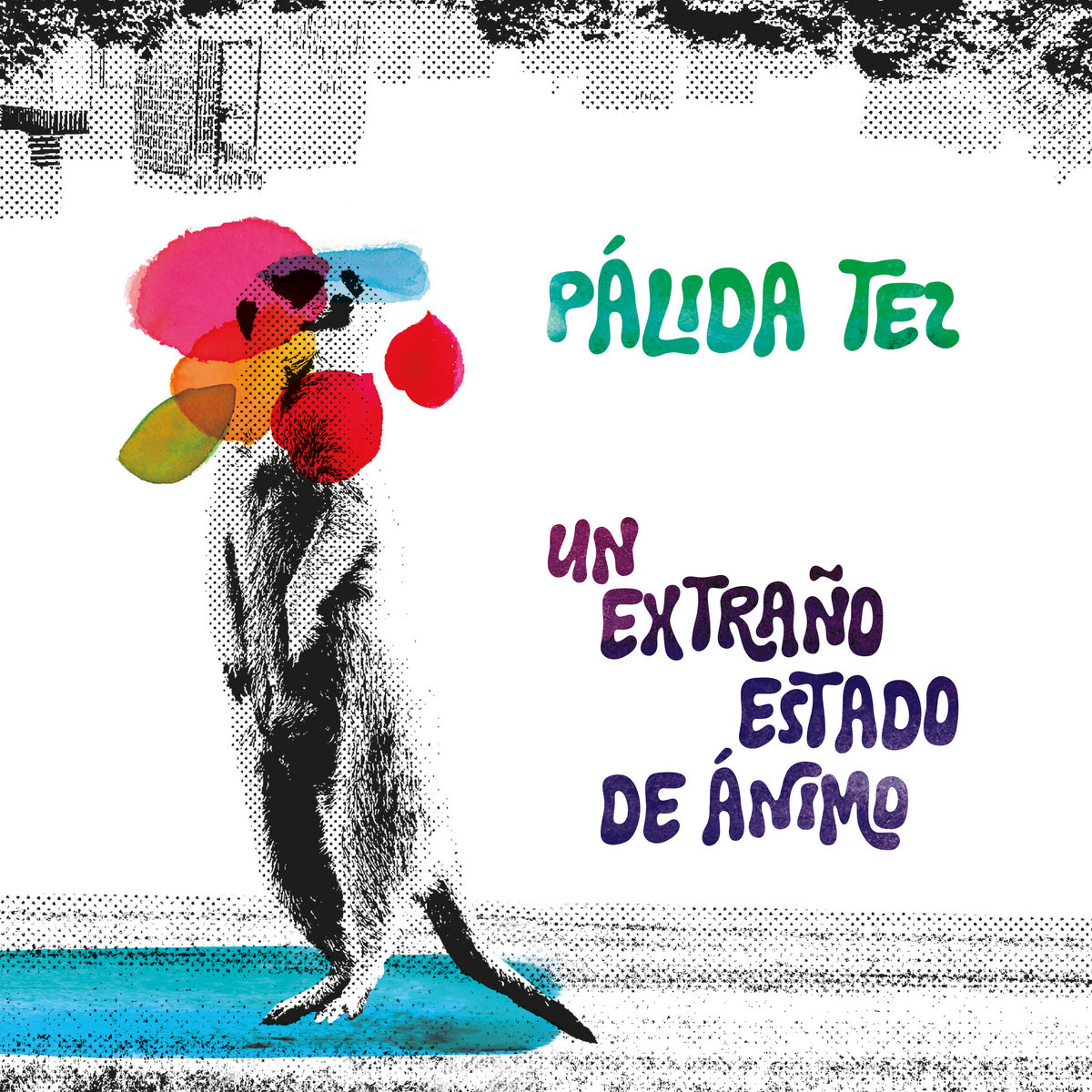 P Á L I D A   T E Z 
Nos sorprenden con su álbum debut
'UN EXTRAÑO ESTADO DE ÁNIMO'
<a href="/PalidaTez/">Pálida Tez</a> en
#LosJuevesunDisco 
<a href="/genioequivocado/">El Genio Equivocado</a> 
palidatez.bandcamp.com/album/un-extra…