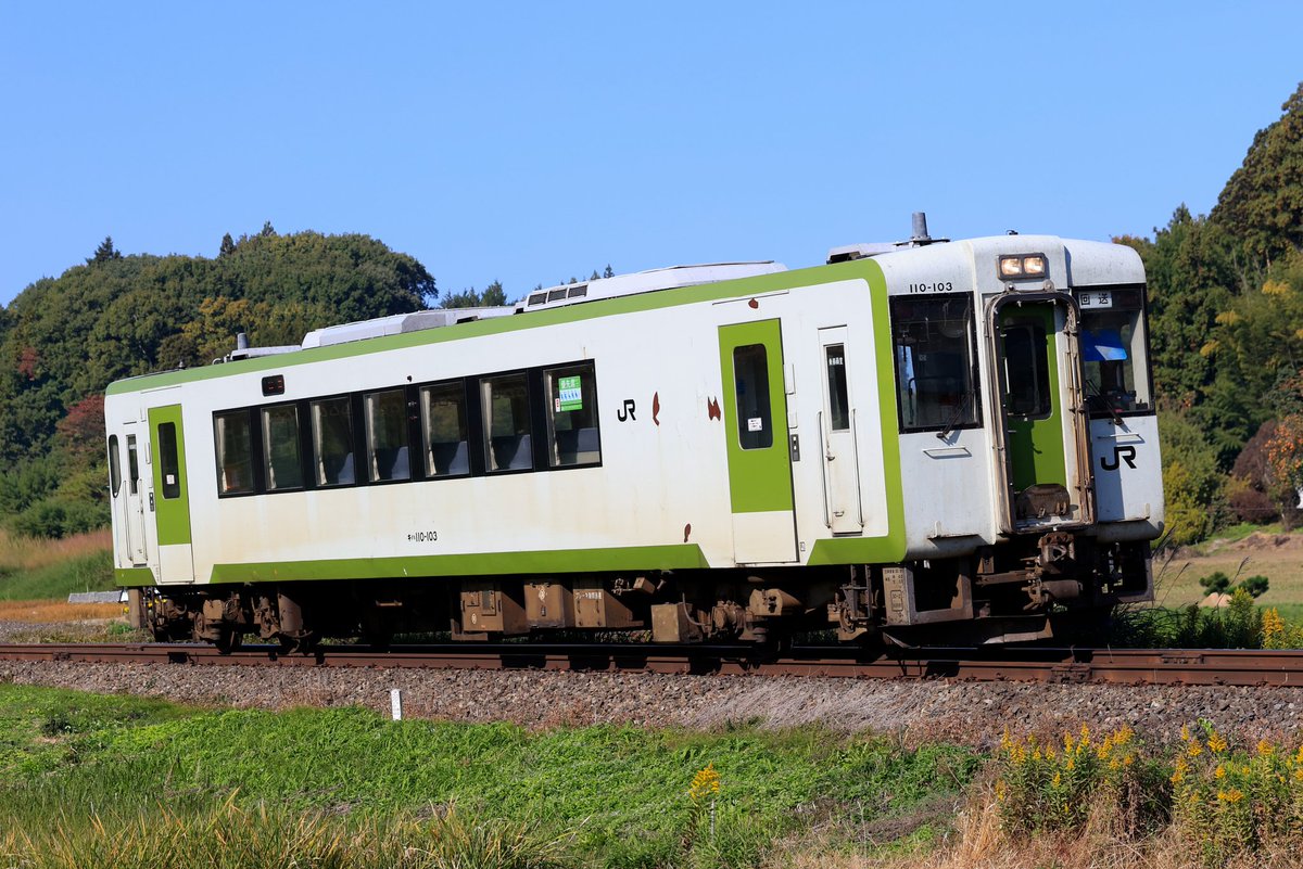 ここあ® (@Kokoa_op) / Posts / X