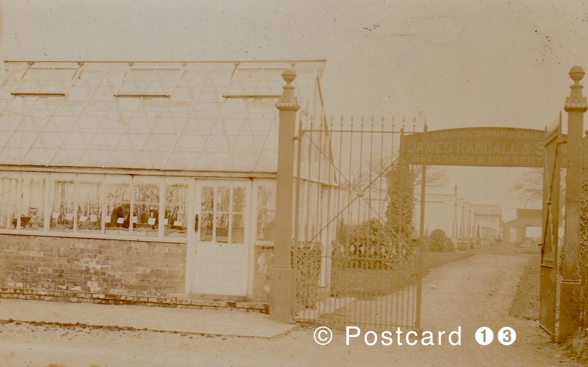 postcard13's tweet image. #Thursgate
Hatfield
Entrance gate to Hatfield Nurseries, James Randall &amp;amp; Son, Seedsmen &amp;amp; Nursery, old RP postcard
#gardening
#nursery
#thursgate
#hatfield
#postcard
#oldpostcard