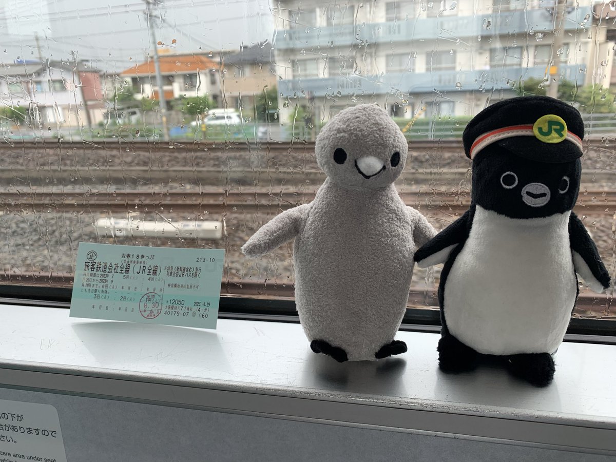 ペンギンファン🐧 (@gl4VIy1OZC30290) / Posts / X