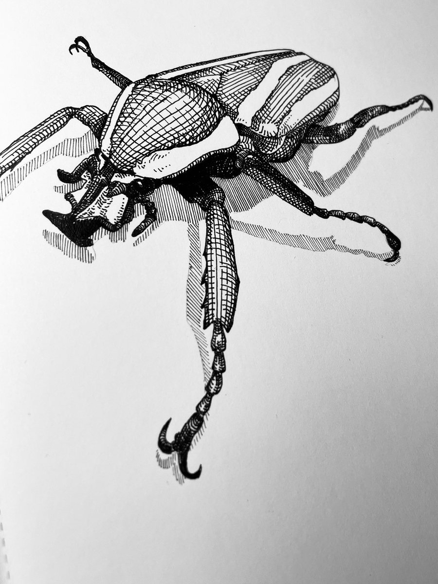 Takao Miura/ Noah's ART (@Taknoah) / Posts / X