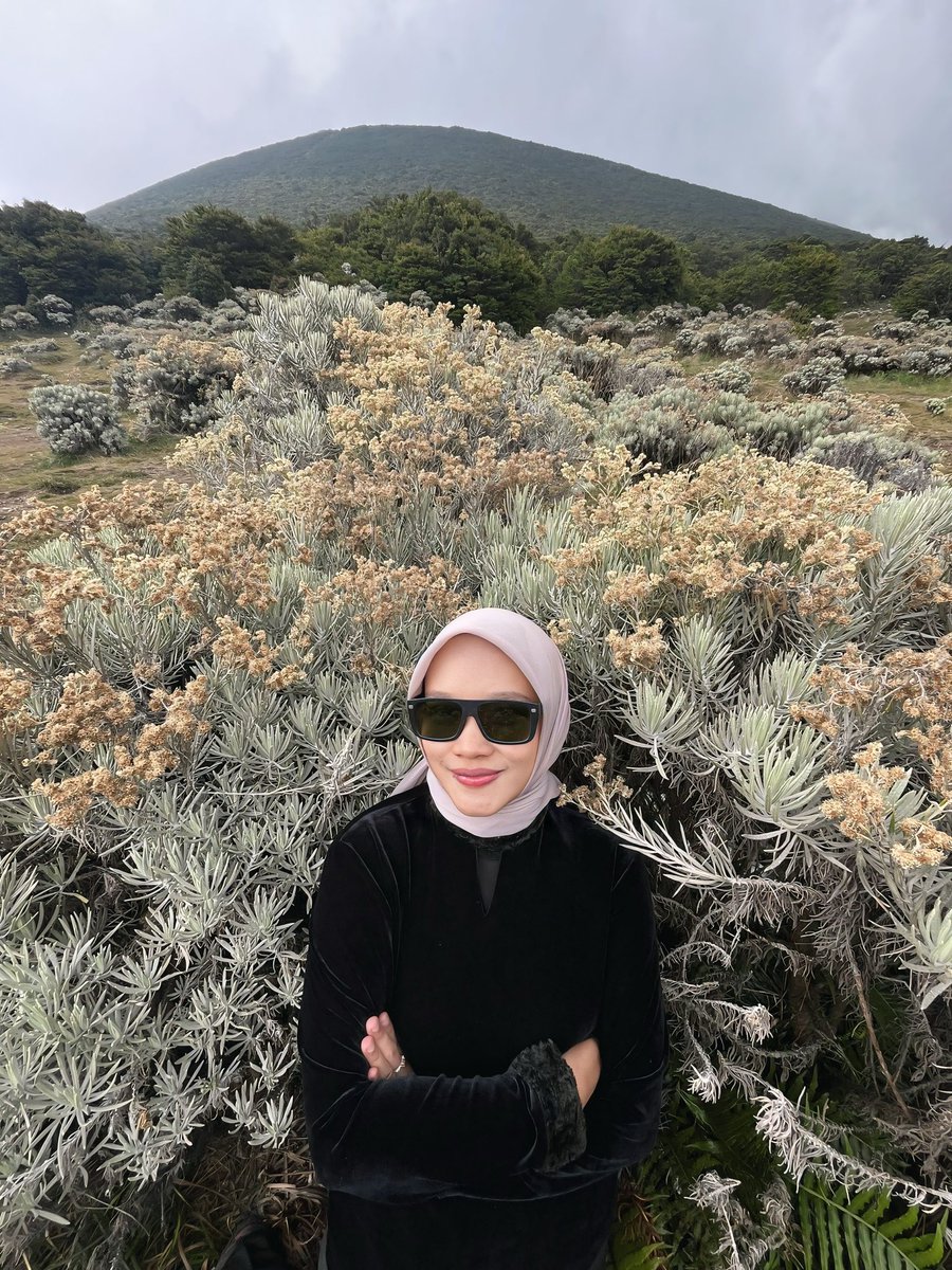 Dee (@degeagaa) / Posts / X