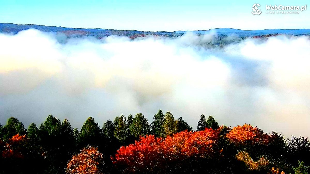 WebCameraPl's tweet image. W objęciach #jesieni. Jak wspaniale wygląda ta pora roku w obiektywie naszych kamer.

webcamera.pl/galeria-zdjec/…

#jesień #kamery #pogoda #Polska #Livestream