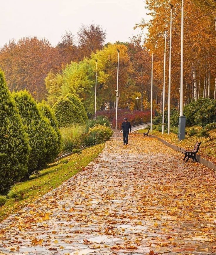 parsyifal's tweet image. پس اصفهان، کِی کارت پستالی میشه ؟ 🥹